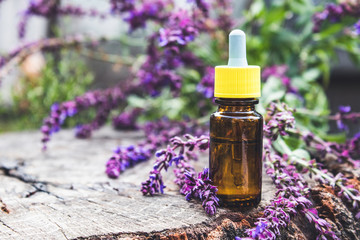 Fototapeta na wymiar Essential oil in a glass bottle and fresh lavender flowers on a background of nature. Tincture or essential oil with lavender. herbal medicine.