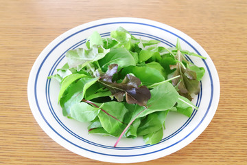 グリーンサラダ