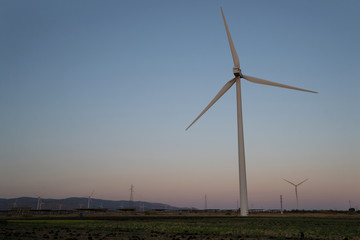 windmill field generating clean energy