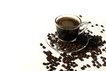 Cup of coffee and beans on white background with sunlight. Copy space