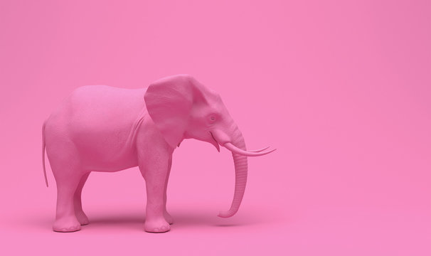 One plain pink realistic elephant isolated on a pink background. Creative conceptual monochrome illustration with copy space. 3D rendering.