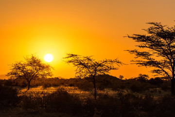 Golden sunset in Namibia, Namib Naukluft Park