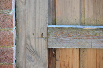 middle of back garden gate
