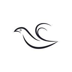 Bird wing Dove Logo