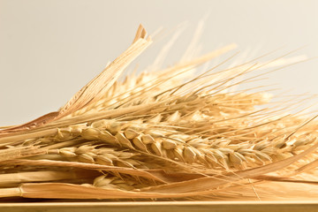 spighe grano natura bio,  ear of organic natural wheat