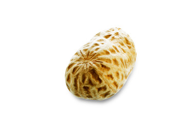 Peanut on a white isolated background