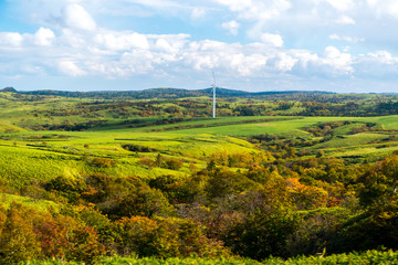 Windmill farm for green & clean energy concept to generate electricity without polution