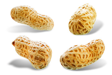 Peanut on a white isolated background