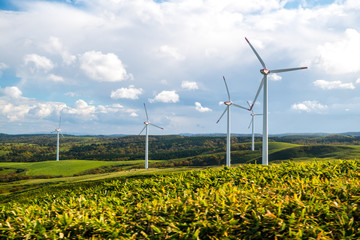 Windmill farm for green & clean energy concept to generate electricity without polution