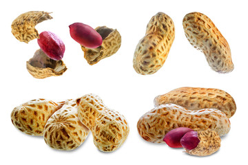 Peanut on a white isolated background