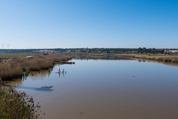 Sado River in the town of Alcácer do Sal, Alentejo, Portugal