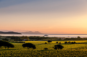 Ramatuelle St-Tropez
