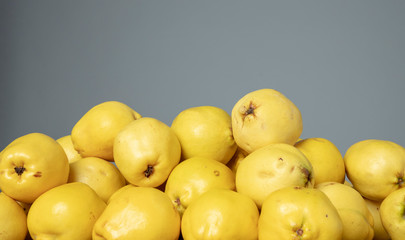 Quinces on the grey isolated background