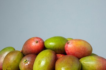 Red and green mango fruits on the grey isolated background