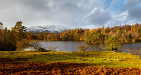 Tarn Hows in the Lake District National park during Autumn and a sunrise that captures the natural warm light on the trees. 