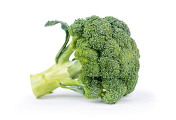 side view of broccoli on a white background