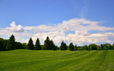 Photo of a golf course. Summer landscape. Can be used as wallpaper.