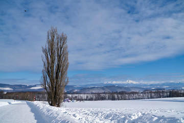 hokkaido Japan