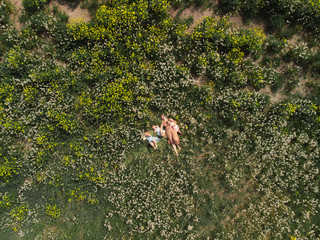 Aerial drone: Mother having quality funny playing time with her baby girls at a park blowing dandelion - Young blonde hippie - Daughters wear similar dresses with strawberry print - Family values