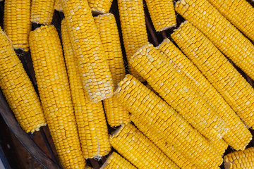 Many ears of yellow corn cooked on a large grill