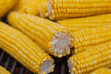 Many ears of yellow corn cooked on a large grill