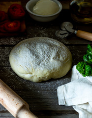 Ingredients for pizza. Dough, tomatoes, mozzarella, basil. Italian cuisine.