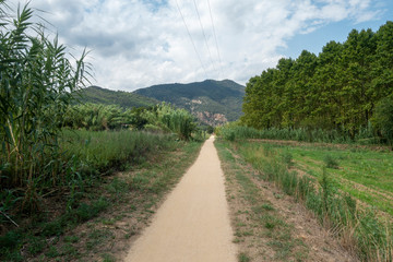 Fototapeta na wymiar The green way of the carrilet path of Olot