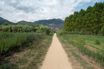 The green way of the carrilet path of Olot