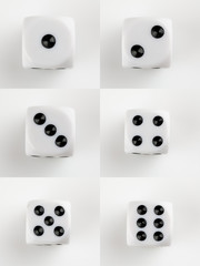 Collage of white dice set on white