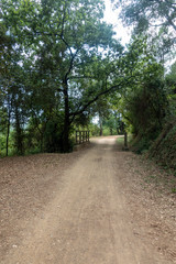 The green way of the carrilet path of Olot