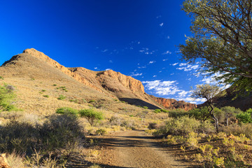 Olive Trail, Namib Naukluft Park, Namibia