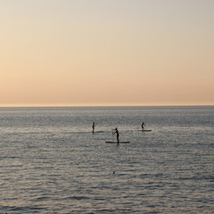 stand up paddling, sup, auf dem meer am Abend