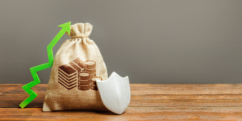 Bag with cash money symbol, a green arrow up and shield. Client rights protection. safeguarded...