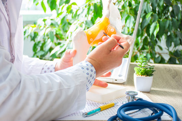The doctor at the reception holds the scalpel over the anatomical model of the hip joint and shows...