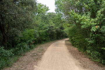 The green way of the carrilet path of Olot