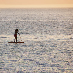 Fototapeta na wymiar stand up paddling, sup im Meer, Sonnenuntergang