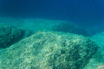 Underwater view of Cape Kamenjak, Istria, Croatia