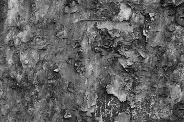 Texture of an old worn out scratched the surface. Black and white grunge background, peeling paint. Empty space, free space