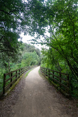 The green way of the carrilet path of Olot