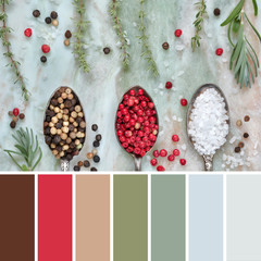 Color matching palette from rosemary, thyme, salt and mixed peppercorns in vintage metal spoons on marble board