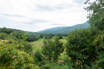 Obraz premium The green way of the carrilet path of Olot