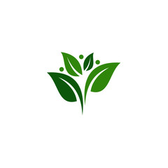 creative green leaf logo template