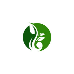 creative green leaf logo template