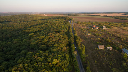 Green forest and many trees from a height.