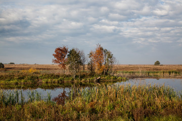 So the golden autumn has come