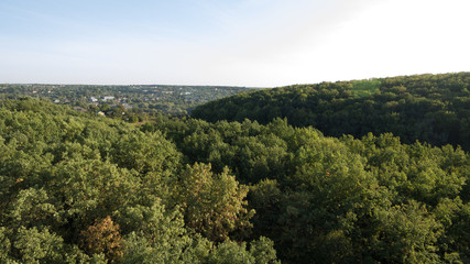 Green forest and many trees from a height.