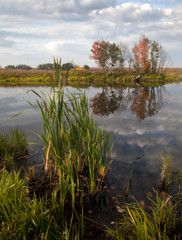 So the golden autumn has come