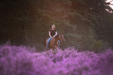 Pferd und Reiterin stehen i Sonnenuntergang in der Heide während eines Ausrittes