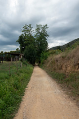 The green way of the carrilet path of Olot