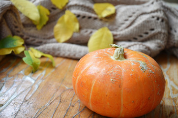 Autumn still life from tray full of pumpkin, leaves, cones, scarf, mug of cocoa, coffee or hot chocolate with marshmallow on plaid with garland. Concept warm home comfort.